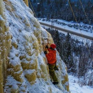Meet your Posher, Bill